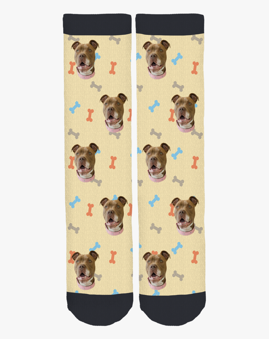 Socks Guinea Pig, HD Png Download