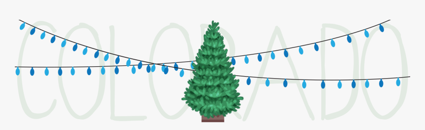 Transparent Pine Tree Top View Png - Illustration, Png Download