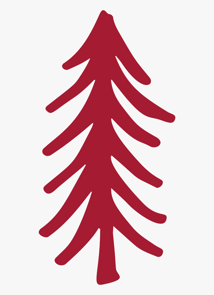 Christmas Tree - Spruce, HD Png Download