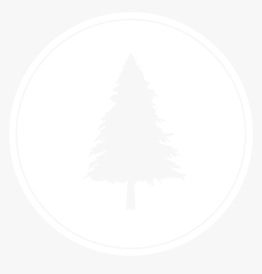 Lone Pine Brewing Company - Lone Pine Beer, HD Png Download