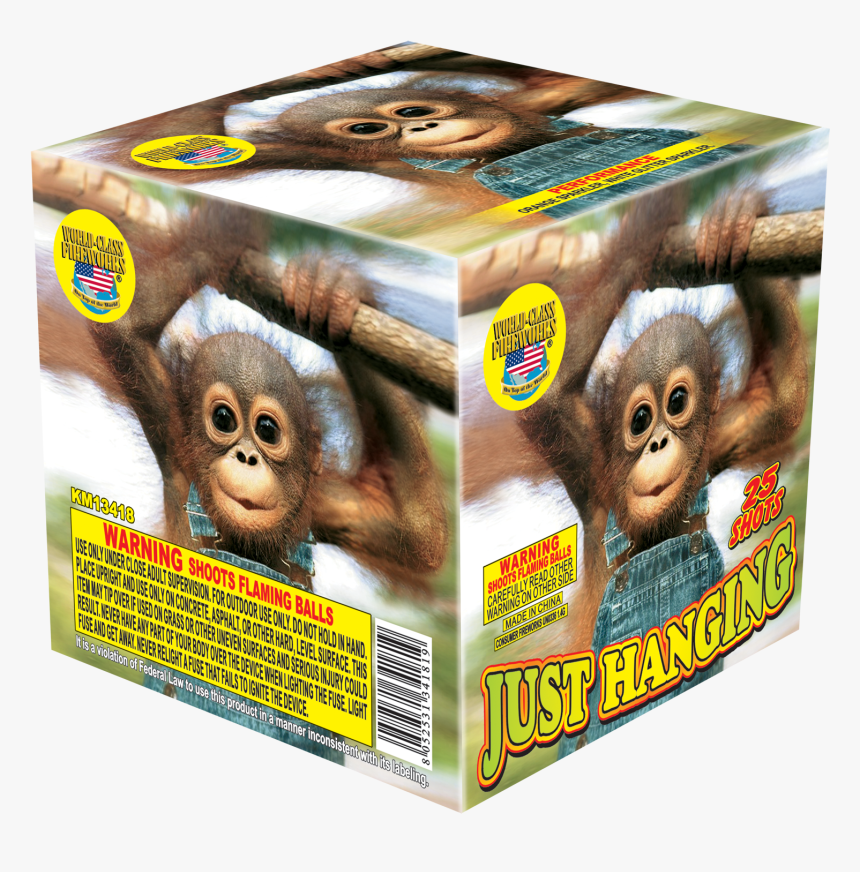 Justhanging - Just Hanging Firework, HD Png Download