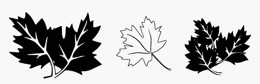 Leaf Png Black And White - Oak Leaves Clip Art Black And White, Transparent Png