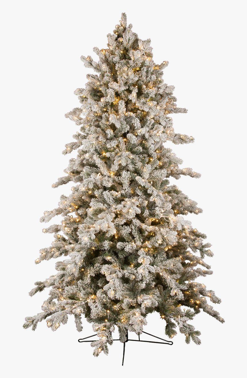 Christmas Tree, HD Png Download