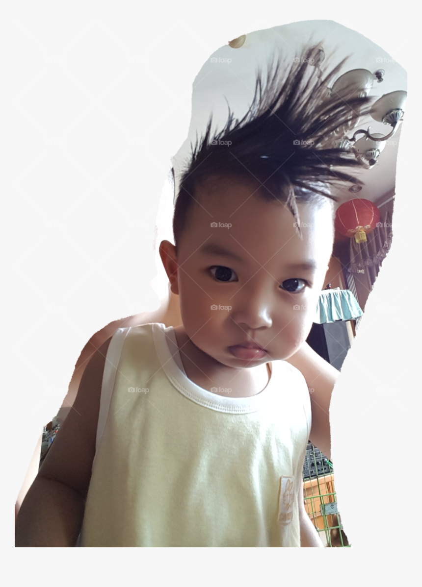 Toddler, HD Png Download