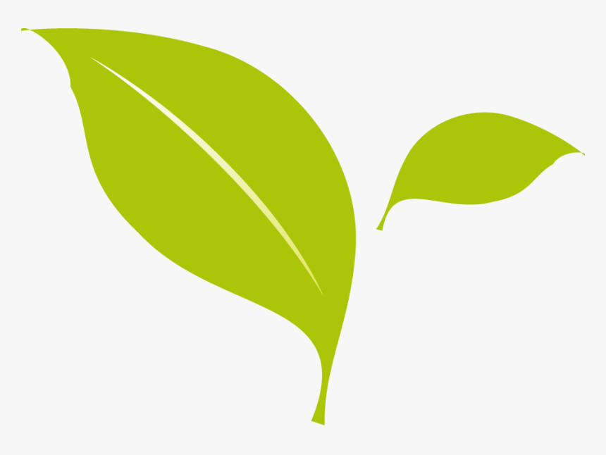 Flat Design Leaf Flat Design Png- - Leaf Flat Design Png, Transparent Png