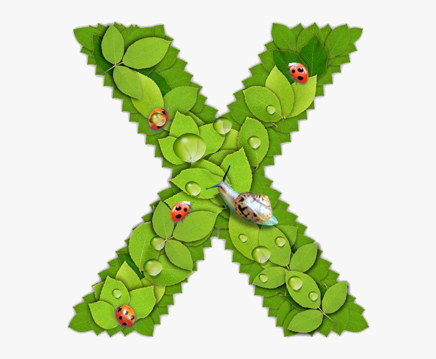 Christmas Tree, HD Png Download