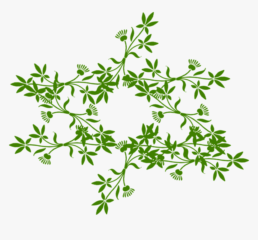 Floral, Ornament, Star, Green, Leaves, Blossoms - Ayurvedic Book In Hindi, HD Png Download