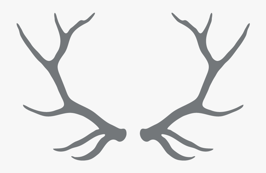 Clipart Free Download Antlers Transparent Black And - Transparent Background Antler Clipart, HD Png Download