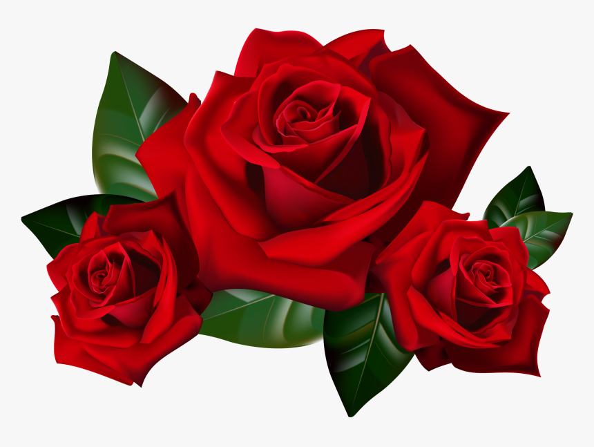 Red Rose Png Download - Red Roses Clip Art, Transparent Png