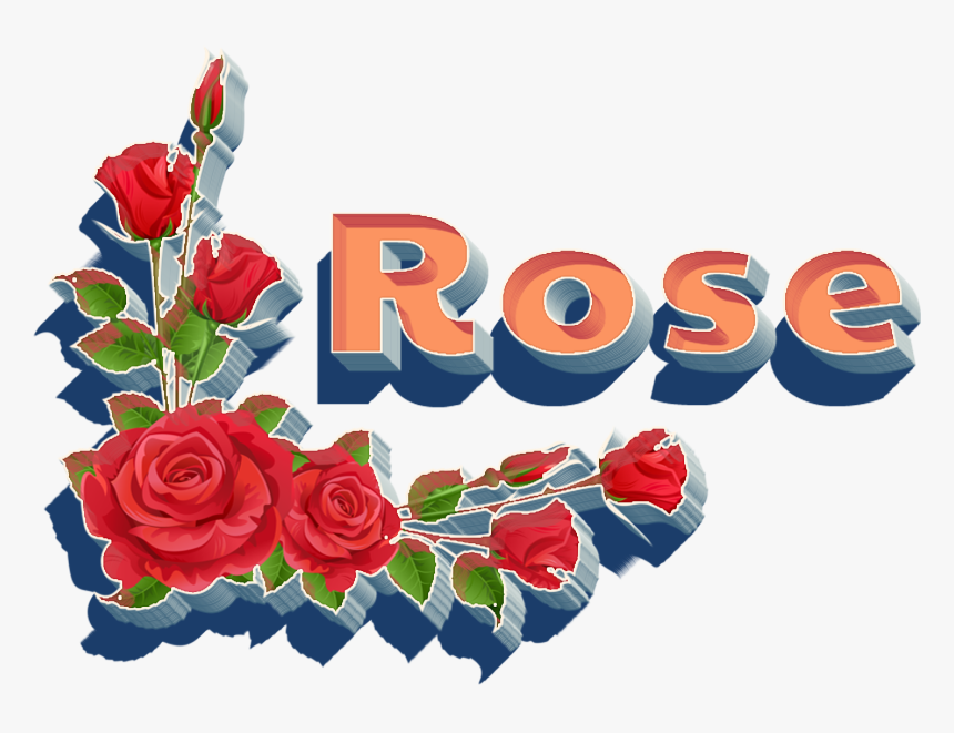 Rose Png Hd - Garden Roses, Transparent Png