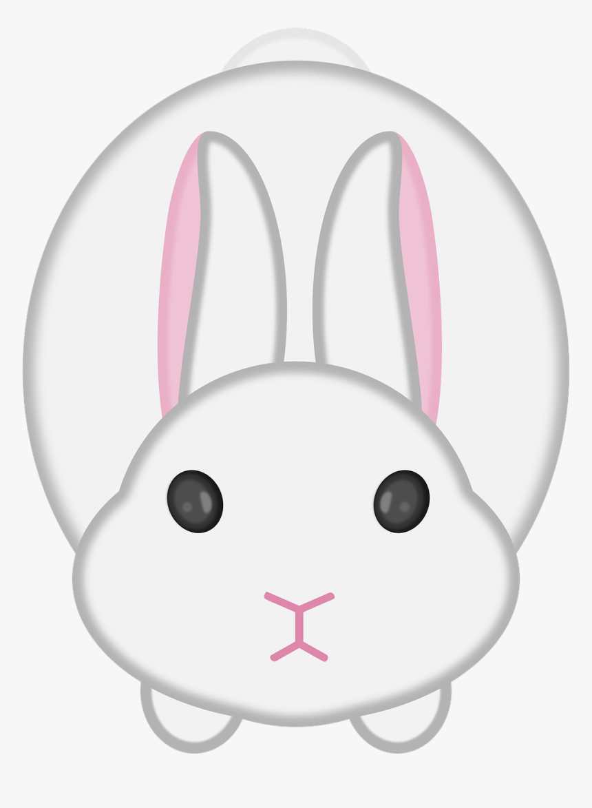 Circle, HD Png Download