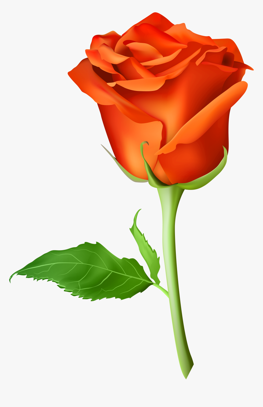 Picsart Rose Png Hd Clipart , Png Download - Picsart Rose Png Hd, Transparent Png