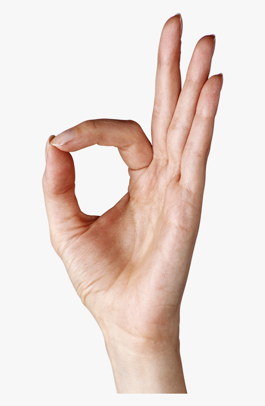 Hand Png Transparent - O Hand Sign Png, Png Download
