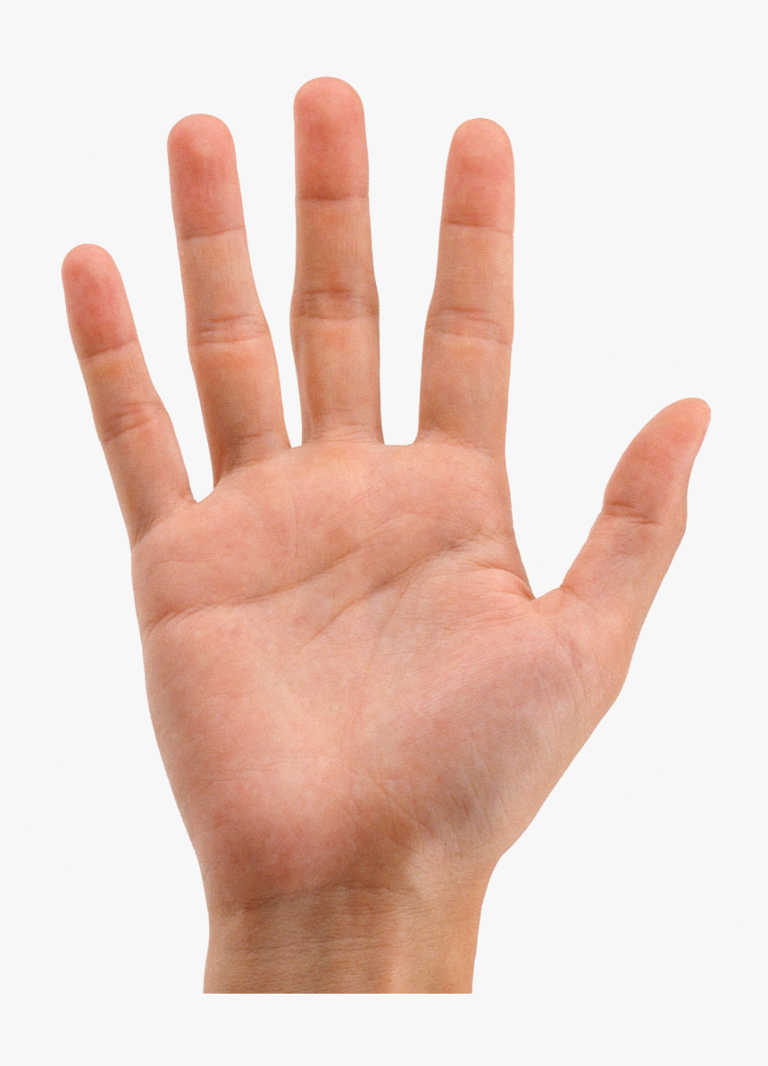 Hands Png Image - Pte Describe Image Template, Transparent Png