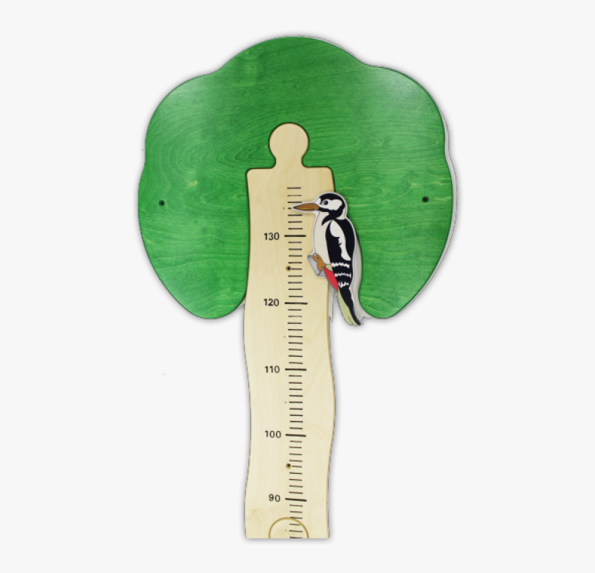 Yardstick Tree Woodpecker Detail - Illustration, HD Png Download