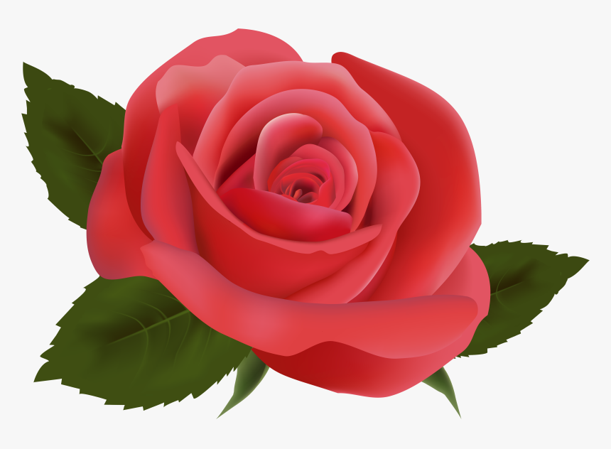 Rose Clipart Png Format - Flores Fucsias Png, Transparent Png