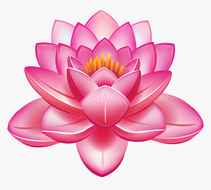 Lotus Flower Png Clipart - Lotus Flower Png, Transparent Png