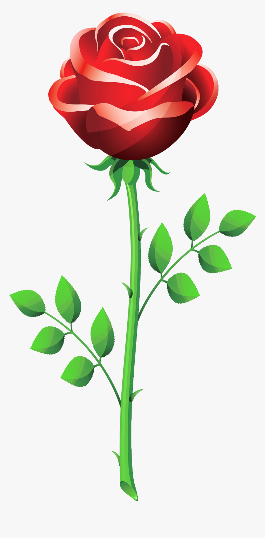 Rose Png Clipart Picture - Rose Flower Vector Png, Transparent Png
