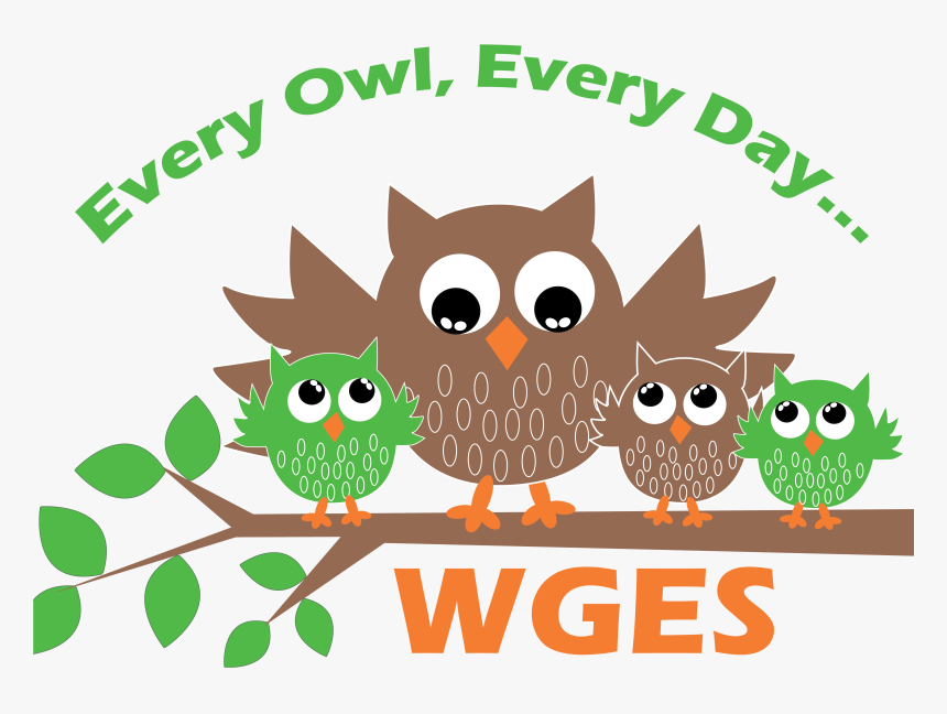 Cute Owl, HD Png Download