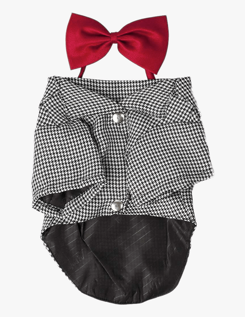 Dog Costume With Bow Tie - Tights, HD Png Download