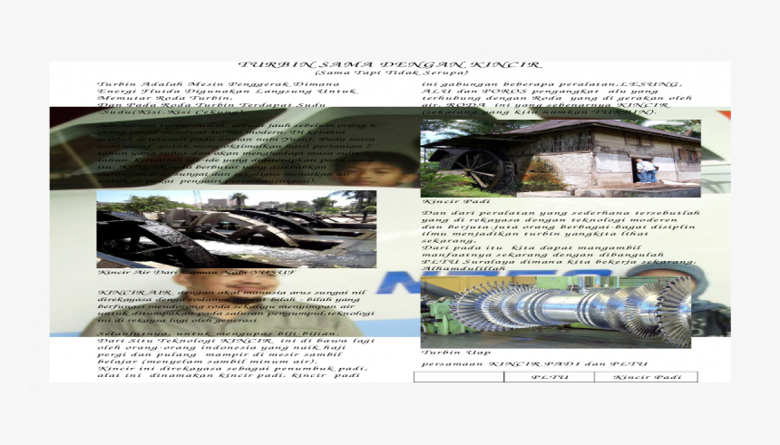 Tree, HD Png Download