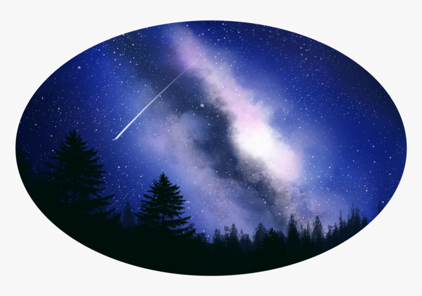 Clip Art Collection Of Free Drawing - Shortleaf Black Spruce, HD Png Download