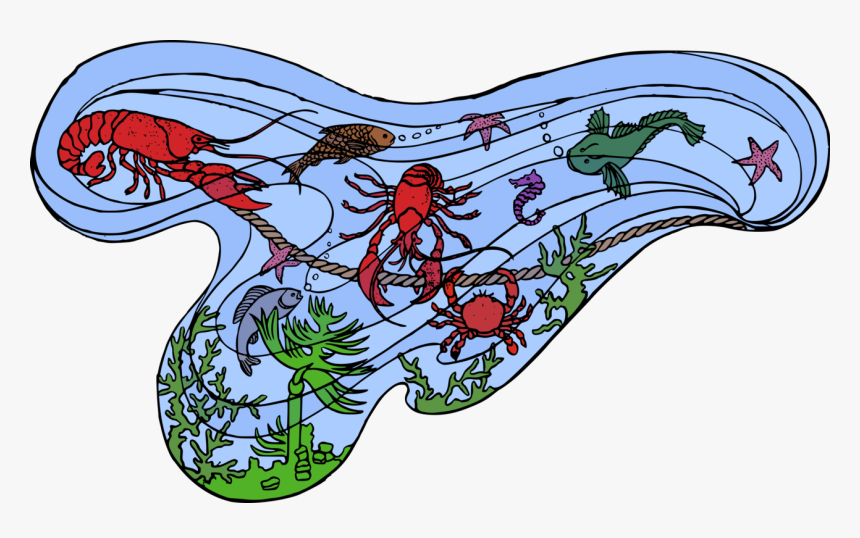 Plant,art,organ - Life Ocean Png, Transparent Png
