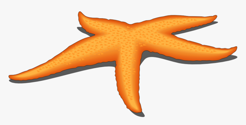 Transparent Sea Animals Png - Start Fish Vector Png, Png Download