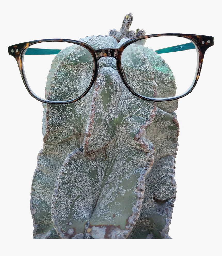 Glasses, HD Png Download