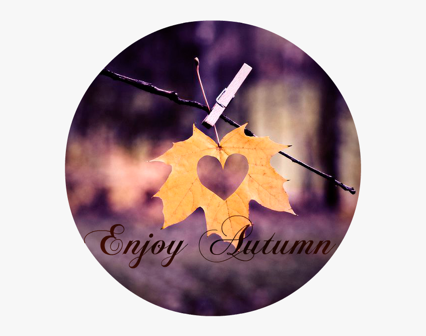 Happy Friday The Skylark Dream , Png Download - Life Starts All Over Again When It Gets Crisp In The, Transparent Png