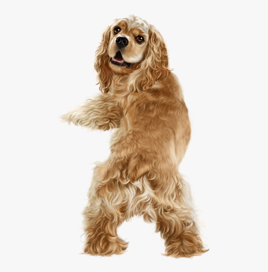 Happy Friday - Golden American Cocker Spaniel, HD Png Download