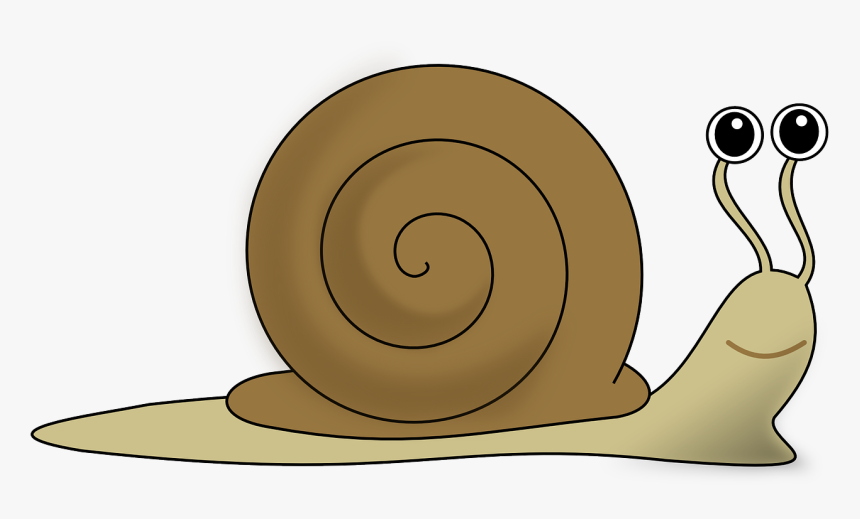 Snail Clipart, HD Png Download