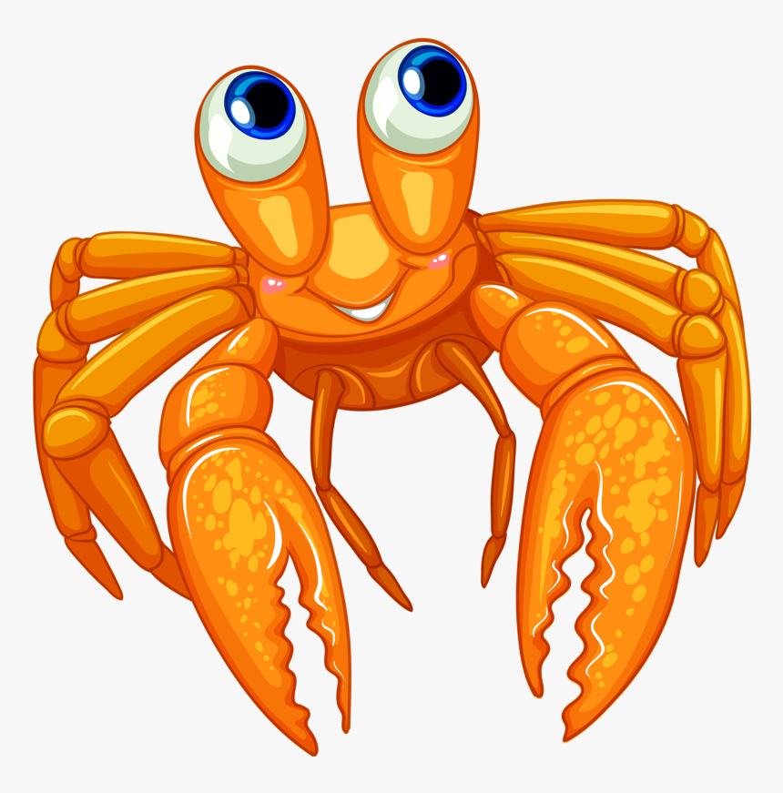 ○•‿✿⁀ocean Safari‿✿⁀•○ Sea Clipart, Clip - Transparent Background Hermit Crab Png, Png Download