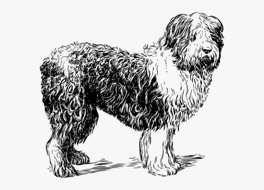 Dogs Clipart Black And White - Sheep Dog Clipart Black And White, HD Png Download