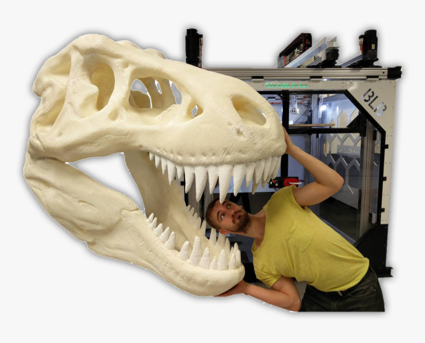 Skull, HD Png Download