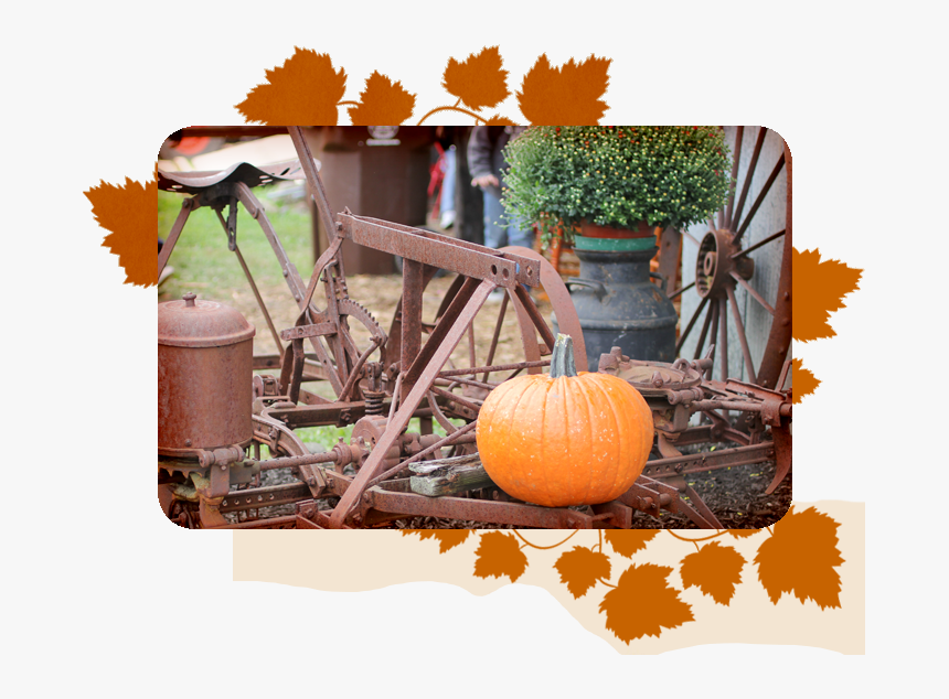 Transparent Hayride Png - Pumpkin, Png Download