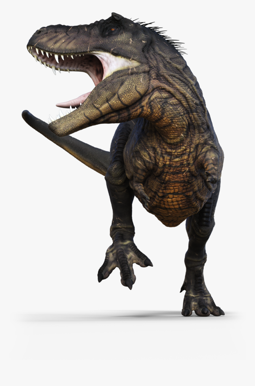 Tyrannosaurus, HD Png Download