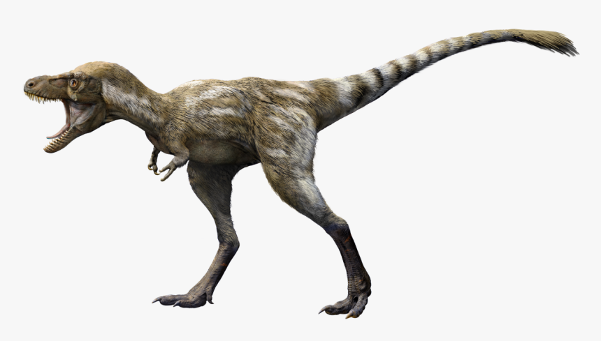 T Rex The Ultimate Predator, HD Png Download