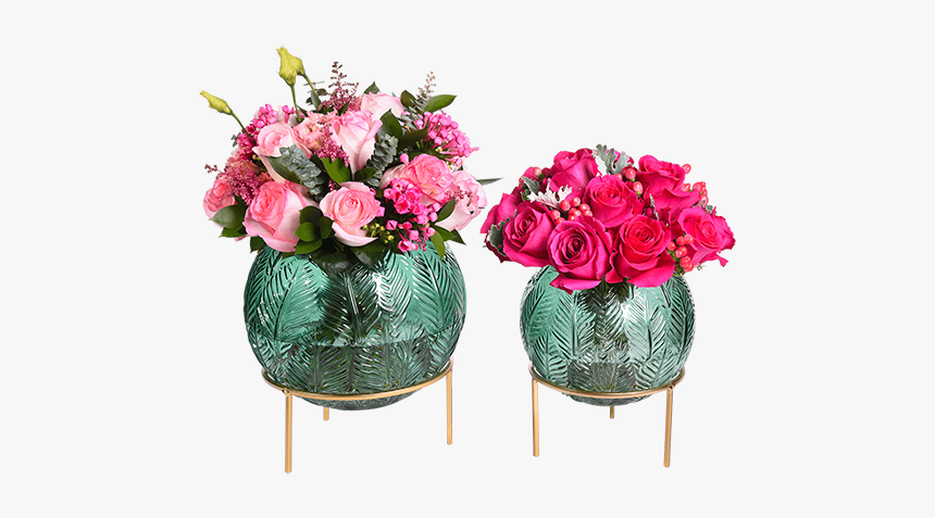 Adam & Eve Collection - Garden Roses, HD Png Download