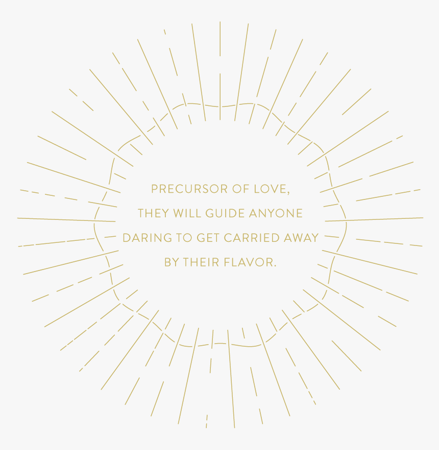 Circle, HD Png Download