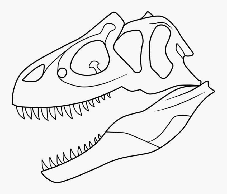 T Rex Skeleton Printable Printable Word Searches