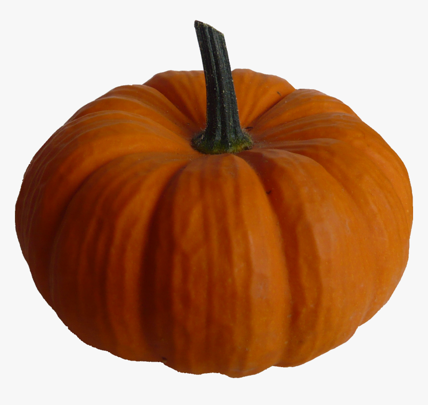 Real Pumpkin Png, Transparent Png