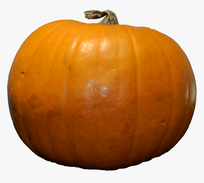 Pumpkin Png Image - Pumpkin Png Free, Transparent Png