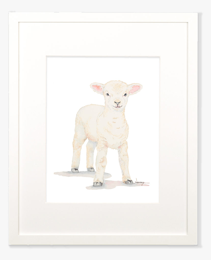 Baby Lamb Wall Art 
 Class - Sheep, HD Png Download
