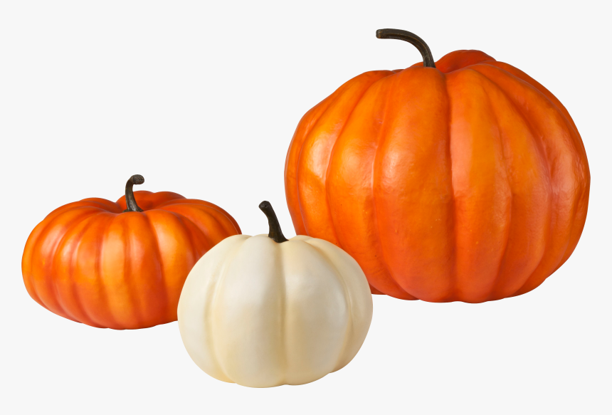 Pumpkin Images No Background, HD Png Download