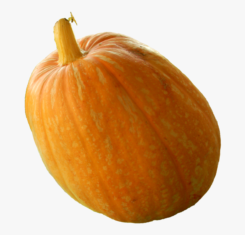 Pumpkin Calabaza Vegetarian Cuisine Gourd Winter Squash - Real Pumpkin Png, Transparent Png