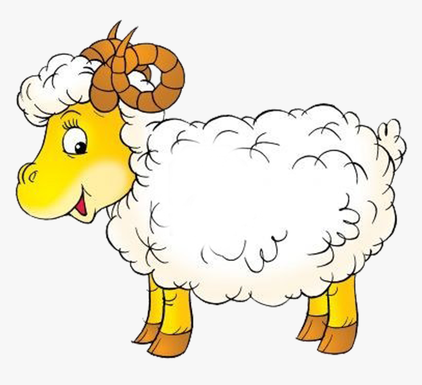 Lamb, Goat, Sheep, Baby Lamb, Baby Sheep Clipart , - Sheep Outline, HD Png Download