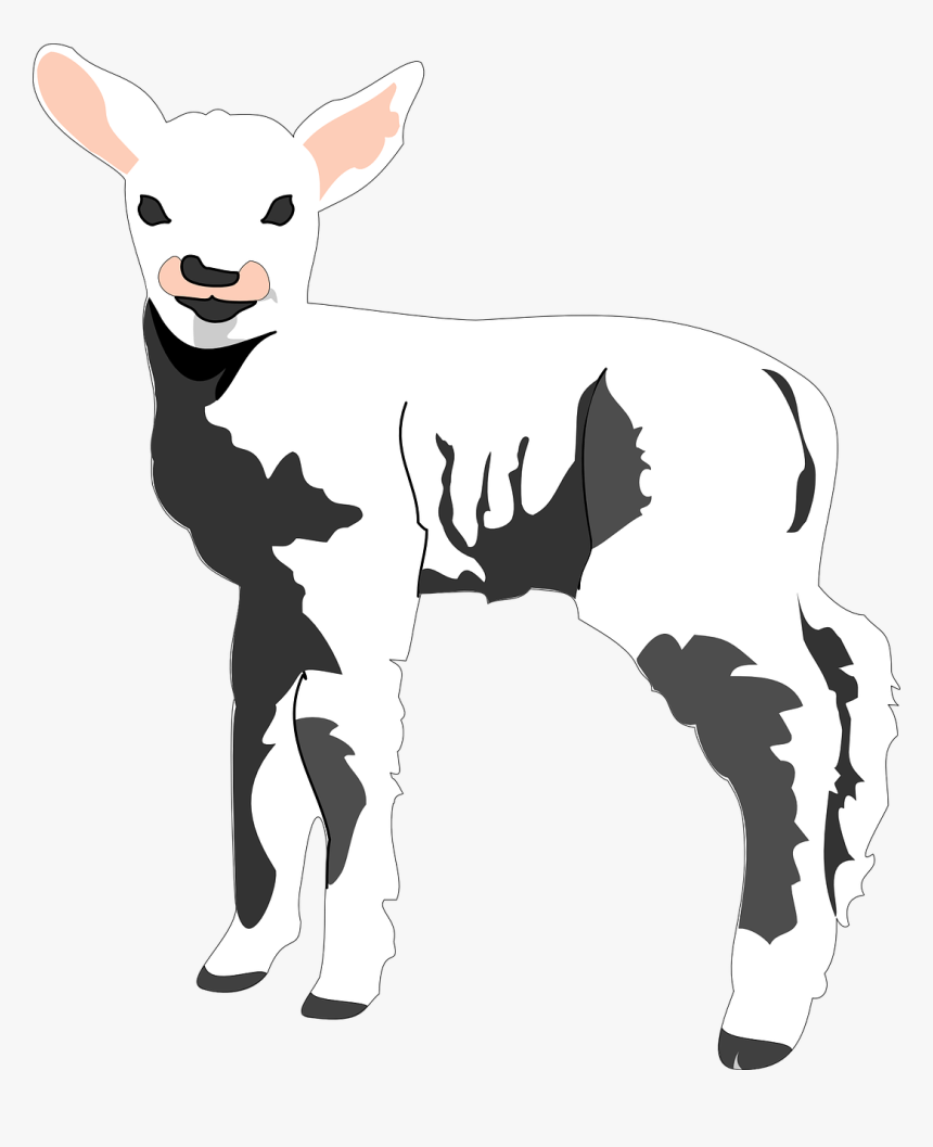 Sheep Clip Art, HD Png Download