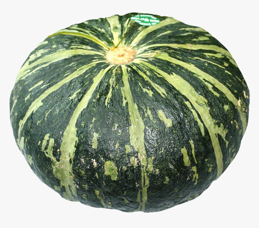 Winter Gourd, And Melon Squash,fruit,figleaf Gourd,produce,vegetarian - Pumpkin Images Hd Png, Transparent Png