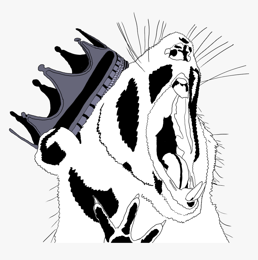 Illustration, HD Png Download